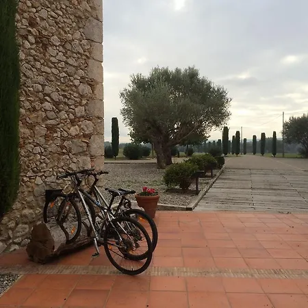 Mas Falgarona Boutique & 4* Avinyonet de Puigventós